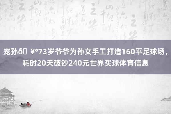 宠孙🥰73岁爷爷为孙女手工打造160平足球场，耗时20天破钞240元世界买球体育信息