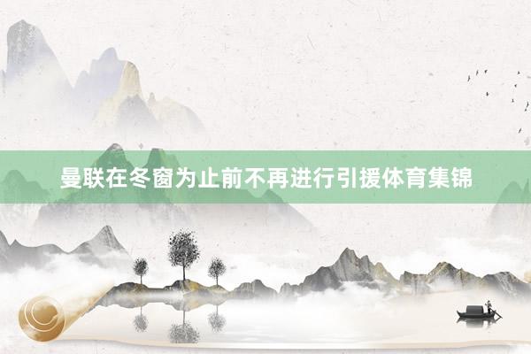 曼联在冬窗为止前不再进行引援体育集锦