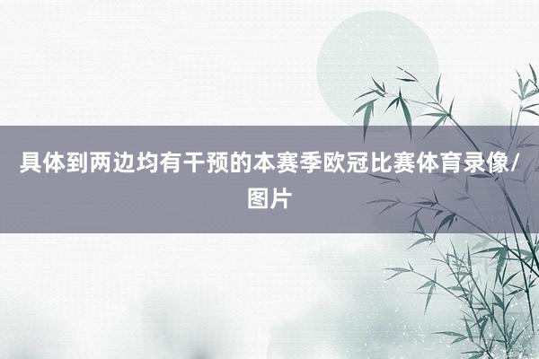 具体到两边均有干预的本赛季欧冠比赛体育录像/图片