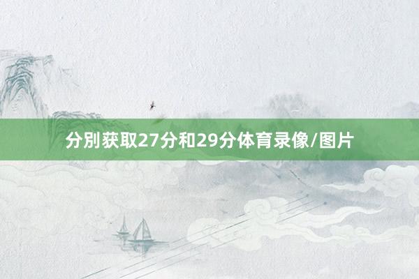 分別获取27分和29分体育录像/图片
