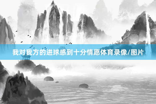 我对我方的进球感到十分情愿体育录像/图片