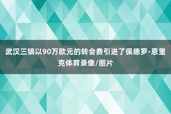 武汉三镇以90万欧元的转会费引进了佩德罗-恩里克体育录像/图片