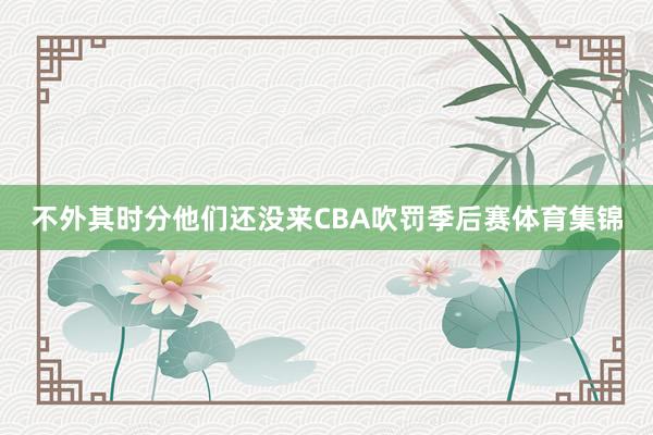 不外其时分他们还没来CBA吹罚季后赛体育集锦