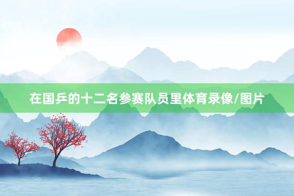 在国乒的十二名参赛队员里体育录像/图片