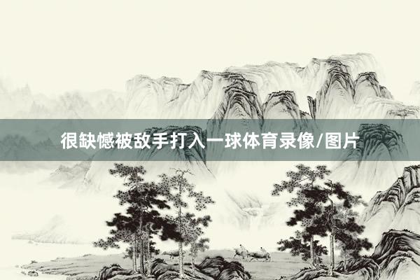 很缺憾被敌手打入一球体育录像/图片