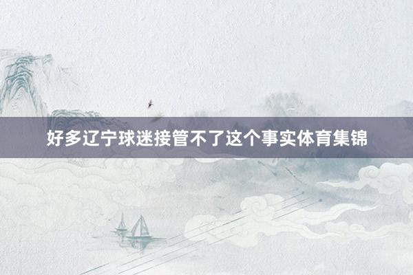 好多辽宁球迷接管不了这个事实体育集锦