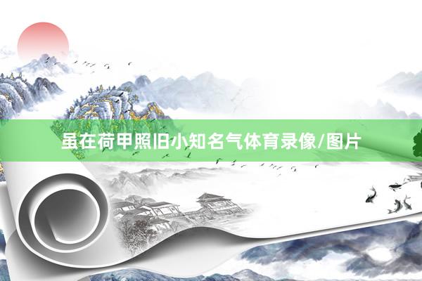 虽在荷甲照旧小知名气体育录像/图片