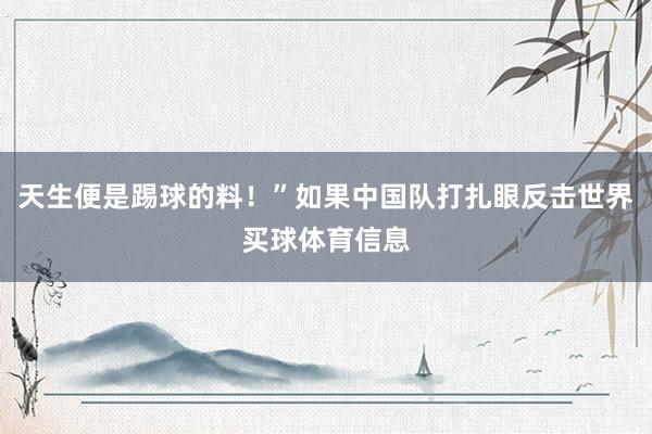天生便是踢球的料！”如果中国队打扎眼反击世界买球体育信息