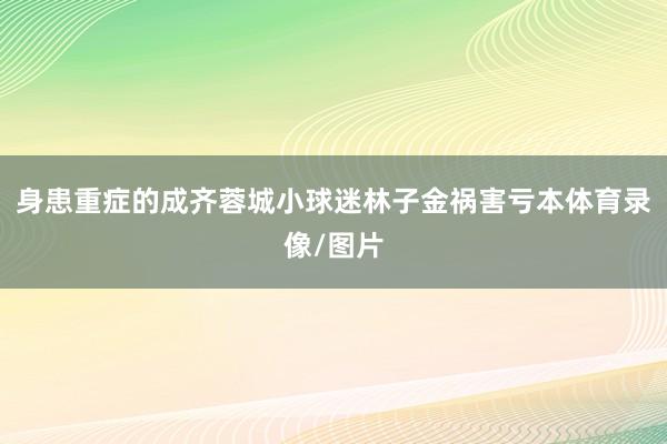 身患重症的成齐蓉城小球迷林子金祸害亏本体育录像/图片
