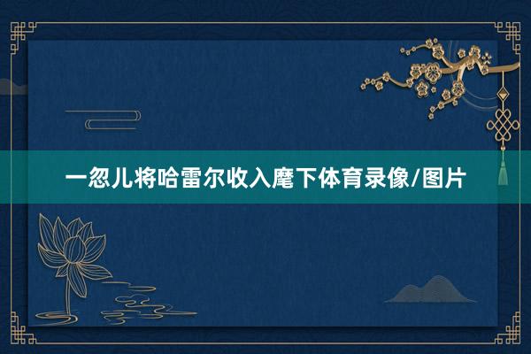 一忽儿将哈雷尔收入麾下体育录像/图片