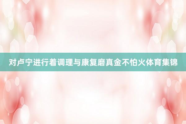 对卢宁进行着调理与康复磨真金不怕火体育集锦