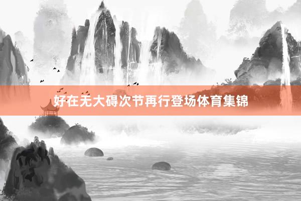 好在无大碍次节再行登场体育集锦