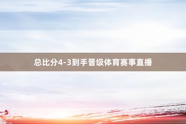 总比分4-3到手晋级体育赛事直播