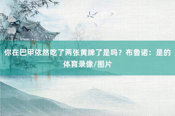 你在巴甲依然吃了两张黄牌了是吗？布鲁诺：是的体育录像/图片
