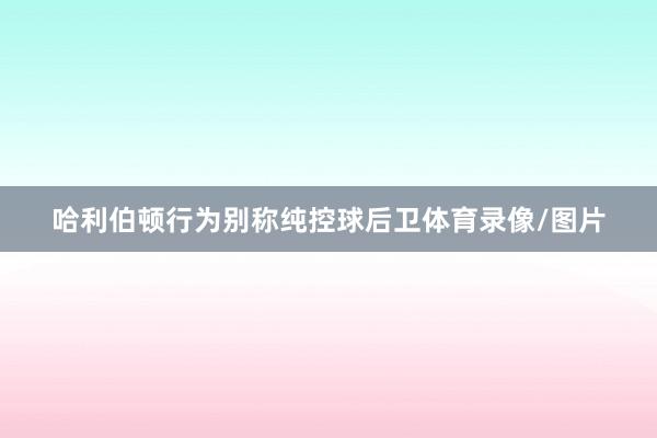 哈利伯顿行为别称纯控球后卫体育录像/图片