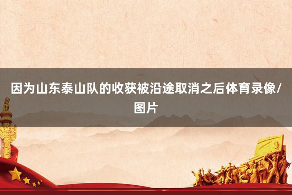 因为山东泰山队的收获被沿途取消之后体育录像/图片