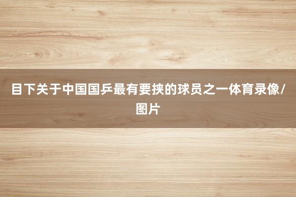 目下关于中国国乒最有要挟的球员之一体育录像/图片