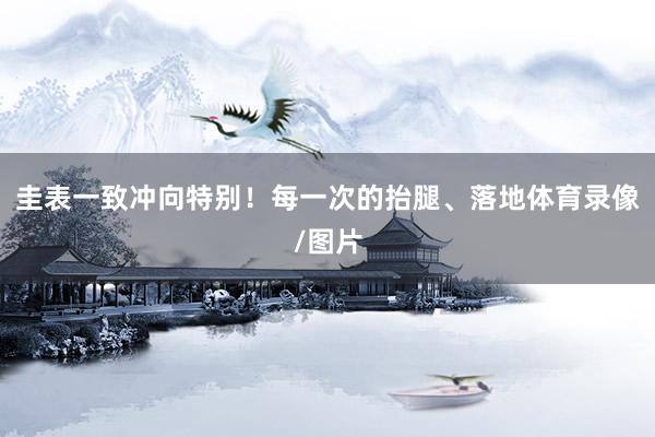 圭表一致冲向特别！每一次的抬腿、落地体育录像/图片