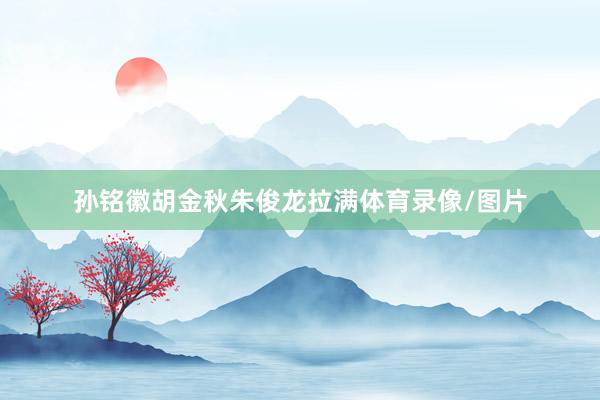 孙铭徽胡金秋朱俊龙拉满体育录像/图片