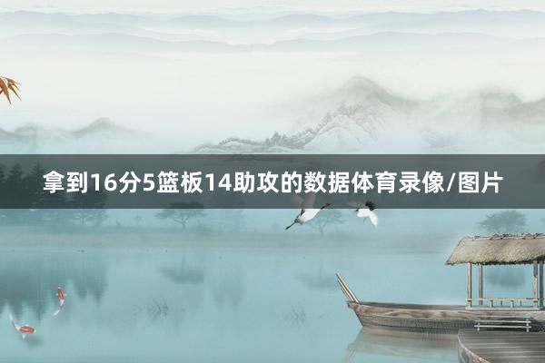 拿到16分5篮板14助攻的数据体育录像/图片