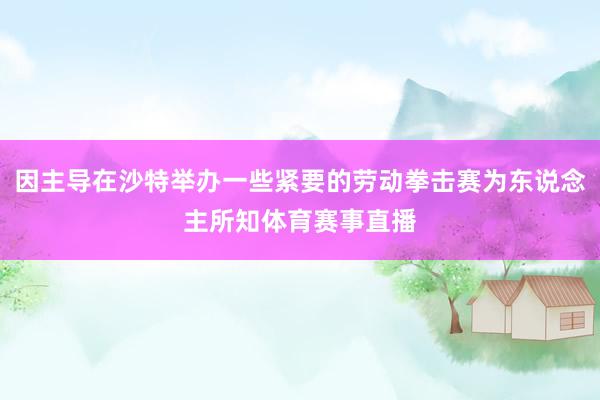 因主导在沙特举办一些紧要的劳动拳击赛为东说念主所知体育赛事直播