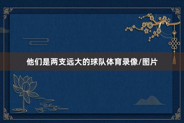 他们是两支远大的球队体育录像/图片