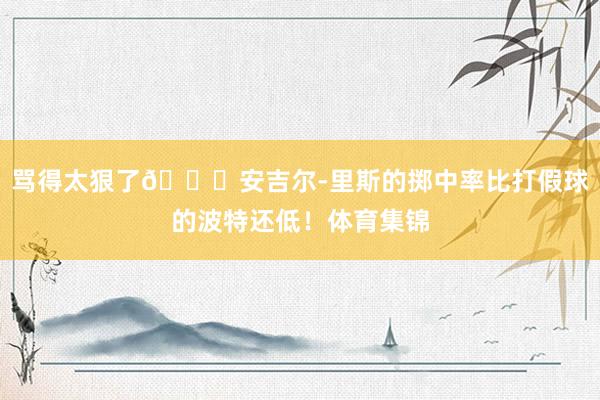 骂得太狠了😂安吉尔-里斯的掷中率比打假球的波特还低！体育集锦