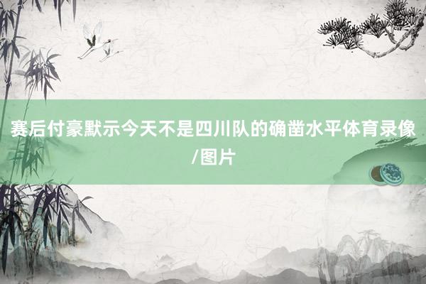 赛后付豪默示今天不是四川队的确凿水平体育录像/图片