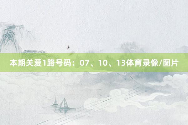 本期关爱1路号码：07、10、13体育录像/图片