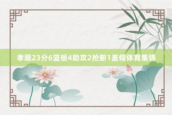 孝顺23分6篮板4助攻2抢断1盖帽体育集锦
