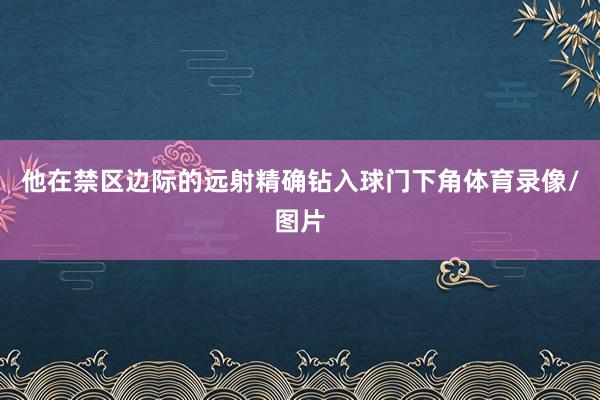 他在禁区边际的远射精确钻入球门下角体育录像/图片