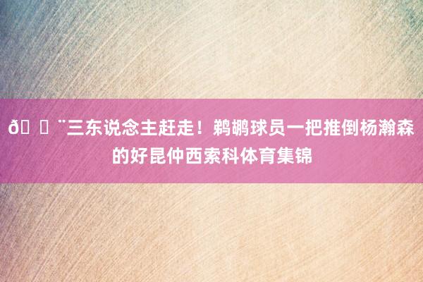 🚨三东说念主赶走！鹈鹕球员一把推倒杨瀚森的好昆仲西索科体育集锦
