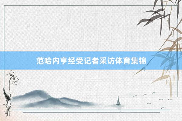 范哈内亨经受记者采访体育集锦