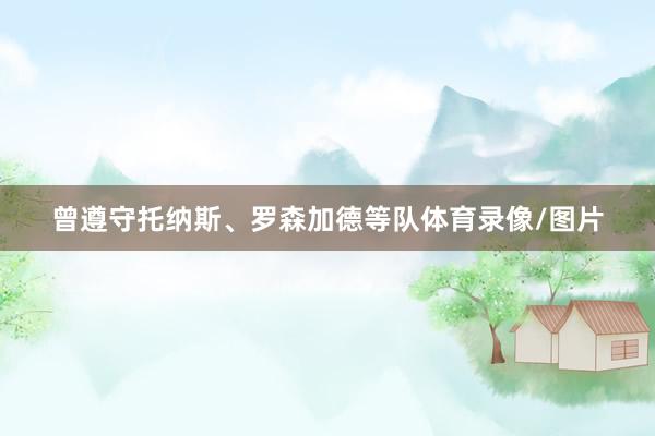 曾遵守托纳斯、罗森加德等队体育录像/图片
