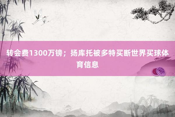 转会费1300万镑；扬库托被多特买断世界买球体育信息