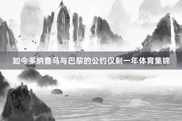 如今多纳鲁马与巴黎的公约仅剩一年体育集锦