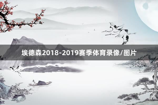 埃德森2018-2019赛季体育录像/图片