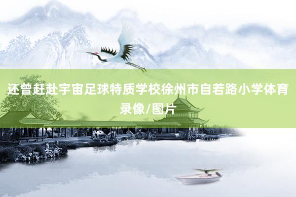 还曾赶赴宇宙足球特质学校徐州市自若路小学体育录像/图片