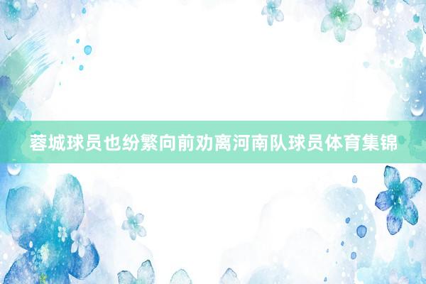 蓉城球员也纷繁向前劝离河南队球员体育集锦