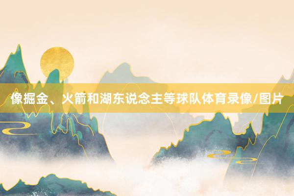 像掘金、火箭和湖东说念主等球队体育录像/图片