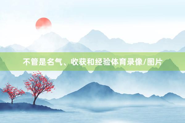 不管是名气、收获和经验体育录像/图片