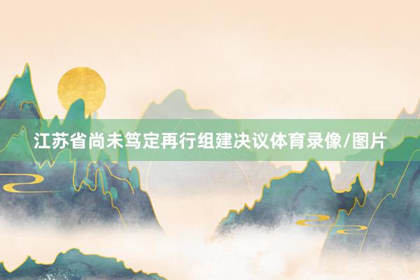 江苏省尚未笃定再行组建决议体育录像/图片