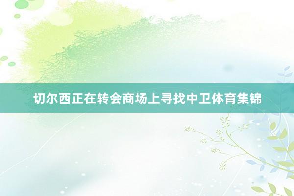 切尔西正在转会商场上寻找中卫体育集锦