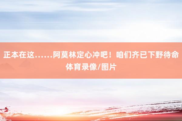 正本在这……阿莫林定心冲吧！咱们齐已下野待命体育录像/图片