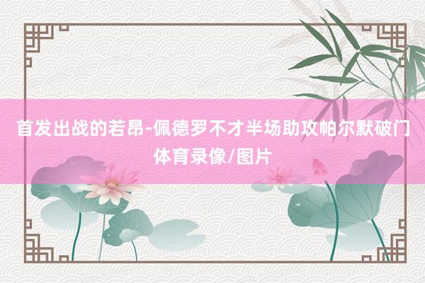 首发出战的若昂-佩德罗不才半场助攻帕尔默破门体育录像/图片