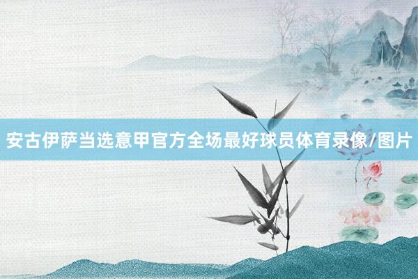 安古伊萨当选意甲官方全场最好球员体育录像/图片
