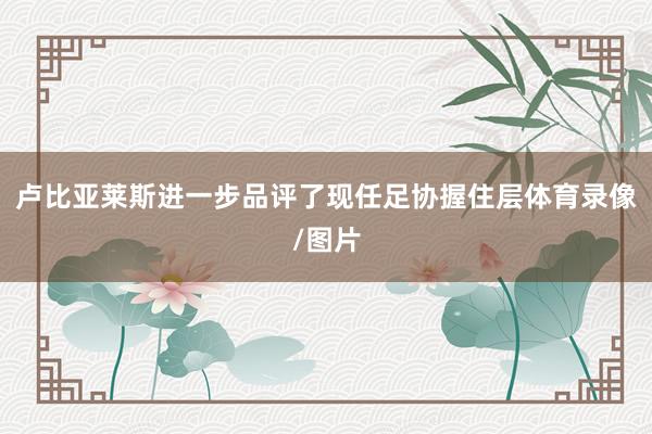 卢比亚莱斯进一步品评了现任足协握住层体育录像/图片