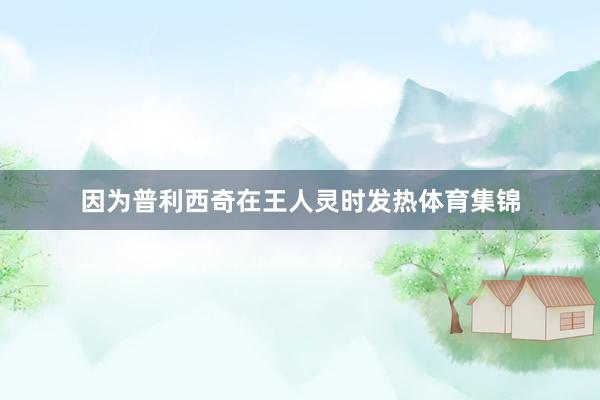 因为普利西奇在王人灵时发热体育集锦