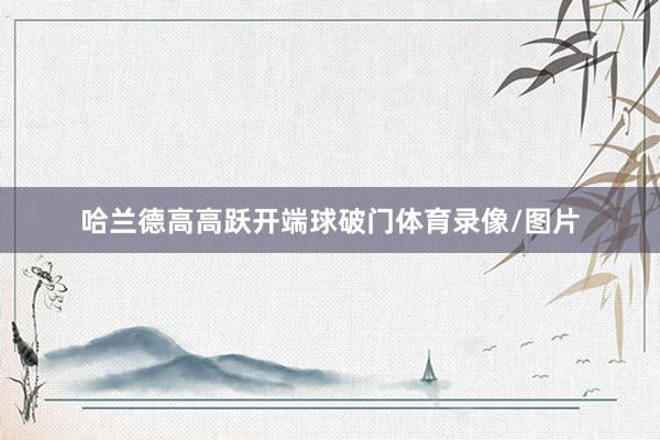 哈兰德高高跃开端球破门体育录像/图片