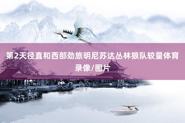 第2天径直和西部劲旅明尼苏达丛林狼队较量体育录像/图片